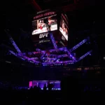 5 Must-Watch Fights at UFC 320