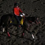 Breeders’ Cup Picks and Predictions for October 31 - November 1