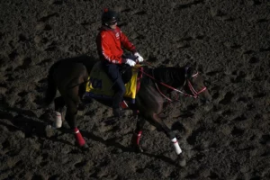 Breeders’ Cup Picks and Predictions for October 31 - November 1