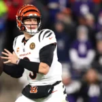 Bengals vs Bills NFL Prediction, Picks and Odds for NFL Week 14, 12/7
