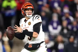 Bengals vs Bills NFL Prediction, Picks and Odds for NFL Week 14, 12/7