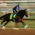 How Horses Qualify for the Kentucky Derby