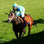 John Battaglia Memorial Stakes Picks and Predictions for Saturday, February 21