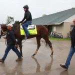 Tampa Bay Derby Picks and Predictions for Saturday, March 7