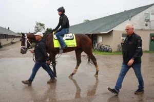 Tampa Bay Derby Picks and Predictions for Saturday, March 7
