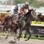 Florida Derby Picks and Predictions for Saturday, March 28