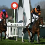 Grand National Winners of the Past 10 Years (2015–2024)