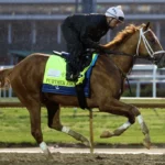 2026 Kentucky Derby Betting Guide: Top Picks for Exactas and Trifectas