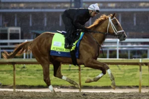 2026 Kentucky Derby Betting Guide: Top Picks for Exactas and Trifectas