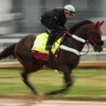 Kentucky Derby 2026 Picks: Full 1-20 Rankings and Predictions