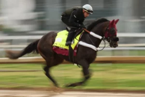 Kentucky Derby 2026 Picks: Full 1-20 Rankings and Predictions