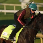 Preakness Stakes Picks and Predictions for Saturday, May 16