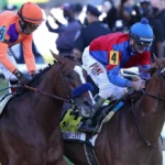 The Complete Guide to the 2026 Preakness Stakes