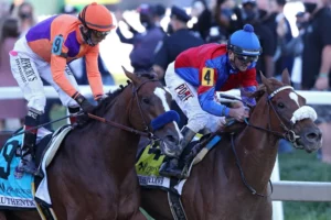The Complete Guide to the 2026 Preakness Stakes