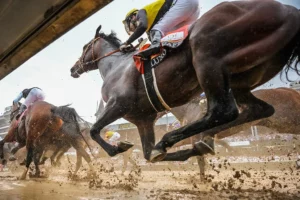 Stephen Foster Stakes Picks and Predictions for Saturday, June 27