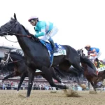 The Complete Guide to the 2026 Belmont Stakes
