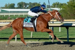 Cotillion Stakes 2026: Race Date, History, Past Winners, and How to Bet