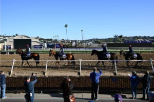 Del Mar Race Track Guide: Surfaces, Course Layout & Betting Angles