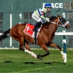 Gallant Bob Stakes: Race Guide, History, Past Winners, and How to Bet at Parx Racing