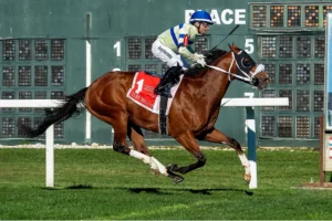 Gallant Bob Stakes: Race Guide, History, Past Winners, and How to Bet at Parx Racing
