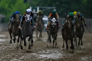 How to Read Horse Racing Entries and Past Performances: A Bettor's Guide