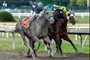 Parx Racing Schedule 2026: Stakes Races, Key Dates, and What to Bet