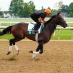 Whitney Stakes Picks and Predictions for Saturday, August 8