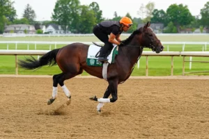 Whitney Stakes Picks and Predictions for Saturday, August 8
