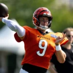 Bengals vs Steelers Prediction, Picks and Odds for NFL Week 3