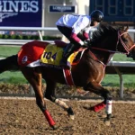 Jockey Club Gold Cup G1 2026 Picks and Predictions for Friday