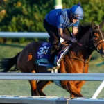 Joe Hirsch Turf Classic G1 2026 Picks and Predictions for Saturday