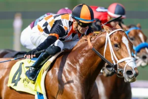 Breeders' Cup Best Bets, Picks and Predictions for Saturday